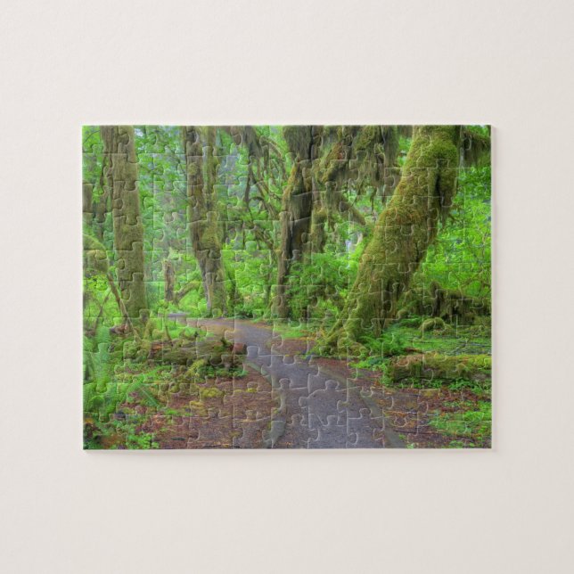 USA, Washington, Olympic National Park, Hoh Rain (Horizontal)