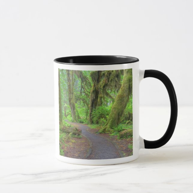 USA, Washington, Olympic National Park, Hoh Rain Tasse (Rechts)