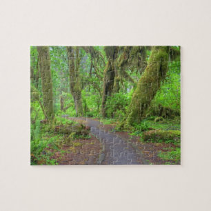 USA, Washington, Olympic National Park, Hoh-Regen