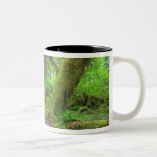 USA, Washington, Olympic National Park, Hoh-Regen Zweifarbige Tasse