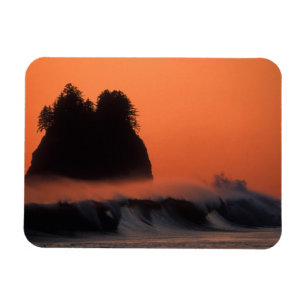 USA, Washington, Olympic National Park, Meer Magnet