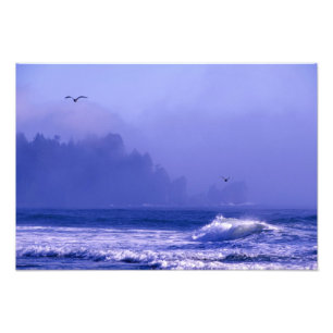 USA, Washington, Olympic National Park. Nebel Fotodruck