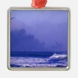 USA, Washington, Olympic National Park. Nebel Ornament Aus Metall