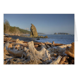 USA, Washington, Olympic National Park, Rialto