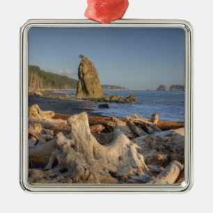 USA, Washington, Olympic National Park, Rialto Ornament Aus Metall