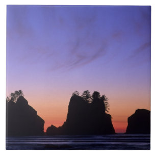 USA, Washington, Olympic National Park, Shi-shi Fliese