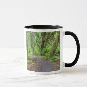 USA, Washington, Olympic-Nationalpark, Hoh-Regenwa Tasse