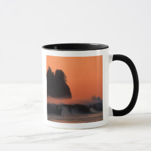 USA, Washington, Olympic-Nationalpark, Meer Tasse