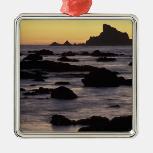 USA, Washington, Olympic-Nationalpark, Meeresbrand Ornament Aus Metall
