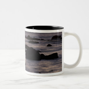 USA, Washington, Olympic-Nationalpark, Meeresfelse Zweifarbige Tasse