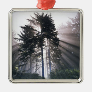 USA, Washington, Olympic-Nationalpark, Morgen Ornament Aus Metall
