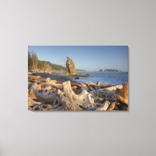 USA, Washington, Olympic-Nationalpark, Rialto Leinwanddruck