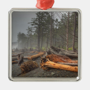 USA, Washington, Olympic-Nationalpark, Rialto Ornament Aus Metall