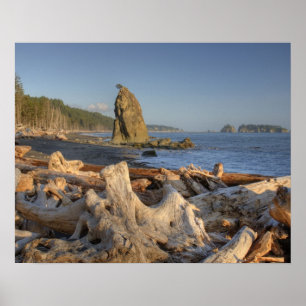 USA, Washington, Olympic-Nationalpark, Rialto Poster
