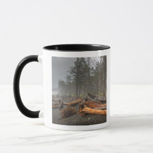 USA, Washington, Olympic-Nationalpark, Rialto Tasse