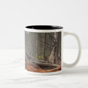 USA, Washington, Olympic-Nationalpark, Rialto Zweifarbige Tasse