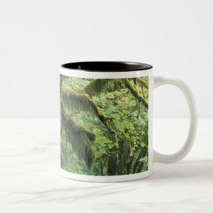 USA, Washington, Olympic-Nationalpark. Zweifarbige Tasse
