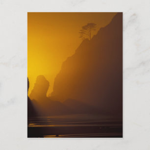 USA, Washington, Olympic Nat'l Park, Sonnenunterga Postkarte