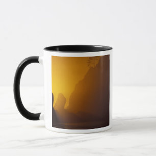 USA, Washington, Olympic Nat'l Park, Sunset, 2 Tasse