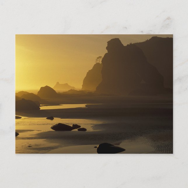 USA, Washington, Olympic Nat'l Park, Sunset, Postkarte (Vorderseite)