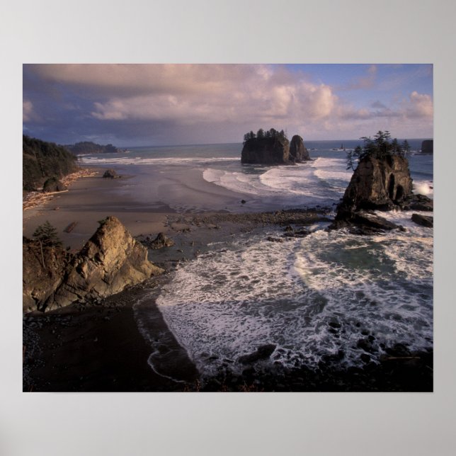 USA, Washington, Olympic NP, Poster (Vorne)