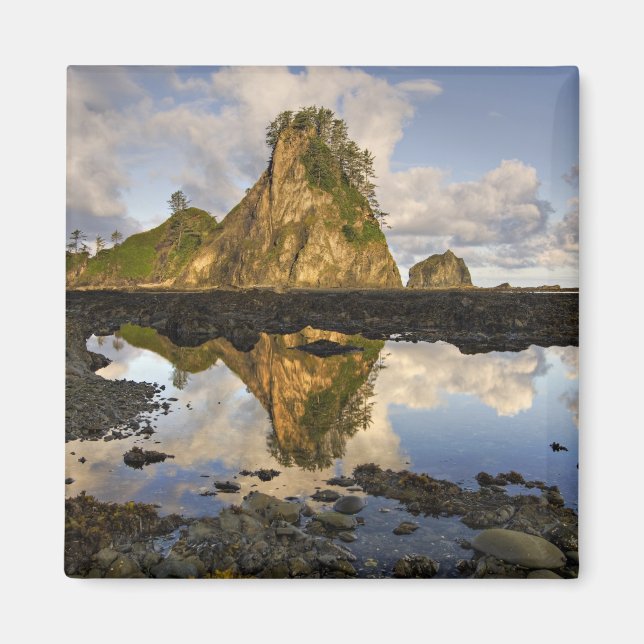 USA, Washington, Olympischer Nationalpark. A Magnet (Vorne)
