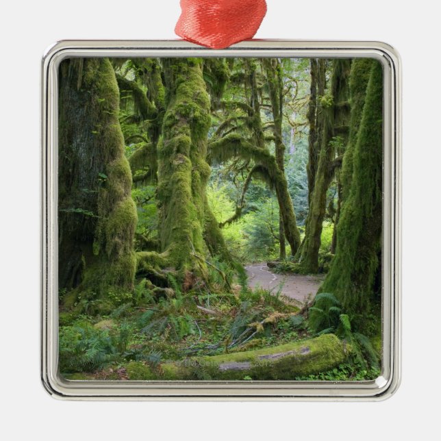 USA, Washington, olympischer Nationalpark, Hoh Ornament Aus Metall (Vorne)