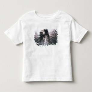 USA, Washington, Olympischer Nationalpark, Morning Kleinkind T-shirt