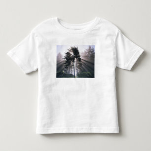 USA, Washington, Olympischer Nationalpark, Morning Kleinkind T-shirt