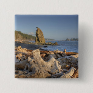 USA, Washington, Olympischer Nationalpark, Rialto Button