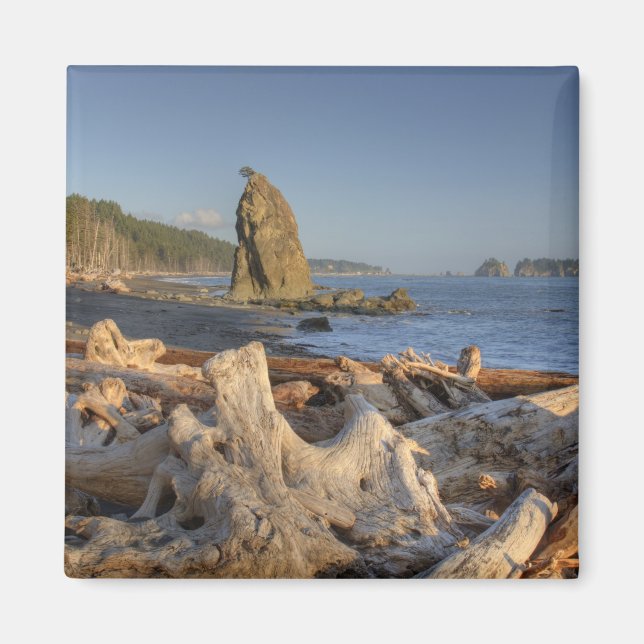 USA, Washington, Olympischer Nationalpark, Rialto Magnet (Vorne)