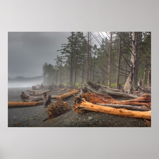 USA, Washington, Olympischer Nationalpark, Rialto Poster (Vorne)