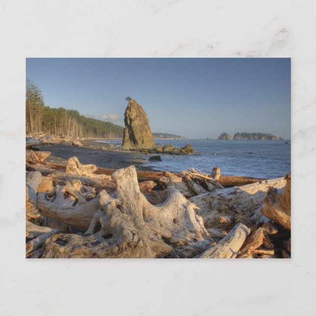 USA, Washington, Olympischer Nationalpark, Rialto Postkarte (Vorderseite)