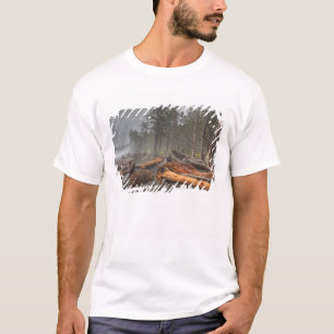 USA, Washington, Olympischer Nationalpark, Rialto T-Shirt