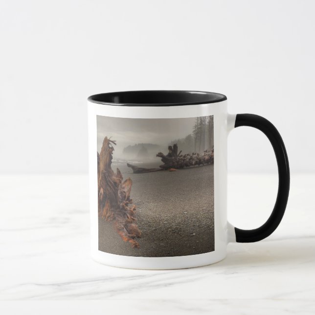 USA, Washington, Olympischer Nationalpark, Rialto  Tasse (Rechts)