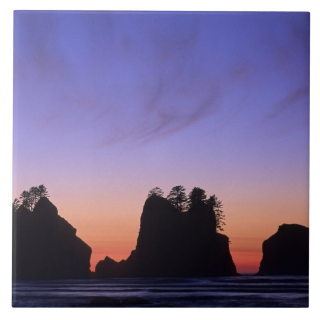 USA, Washington, Olympischer Nationalpark, Shi-shi Fliese (Vorderseite)