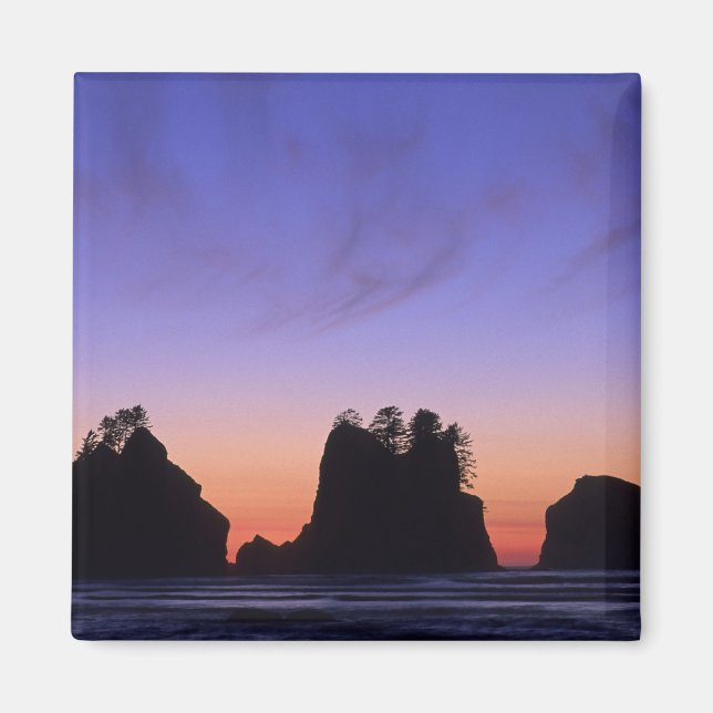 USA, Washington, Olympischer Nationalpark, Shi-shi Magnet (Vorne)