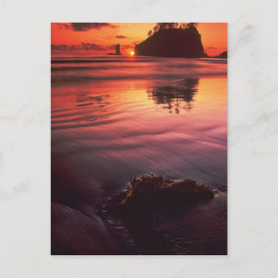 USA, Washington, Olympischer Nationalpark. Sonnenu Postkarte