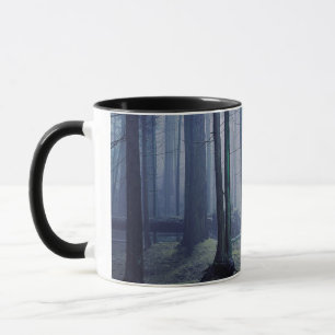 USA, Washington, Orcas Island, Moran State Park Tasse