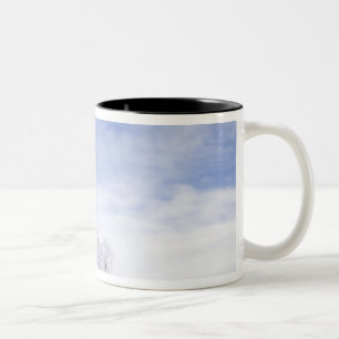 USA, Washington, Palouse-Gebiet, Frostige Schwarze Zweifarbige Tasse