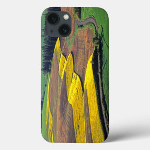 USA, Washington, Palouse, Whitman County 2 Case-Mate iPhone Hülle