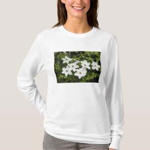 USA, Washington, Pazifische Kornelkirsche, Cornus T-Shirt