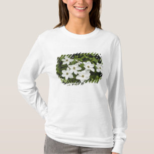 USA, Washington, Pazifische Kornelkirsche, Cornus T-Shirt