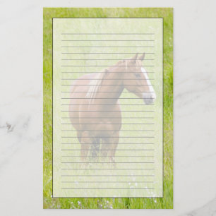USA, Washington, Pferd im Frühjahrsfeld, Briefpapier