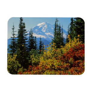 USA, Washington, Rainier National Park 2 Magnet