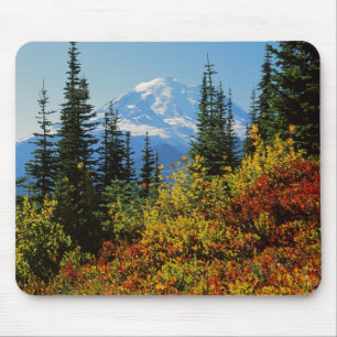 USA, Washington, Rainier National Park 2 Mousepad