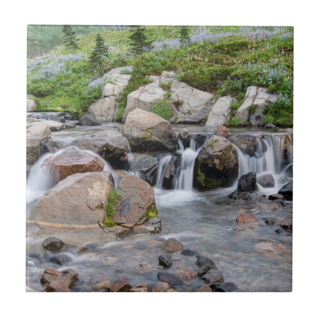 USA, Washington, Rainier National Park 3 Fliese (Vorderseite)