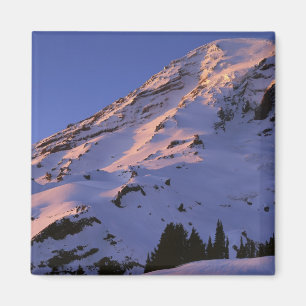 USA, Washington, Rainier National Park Magnet