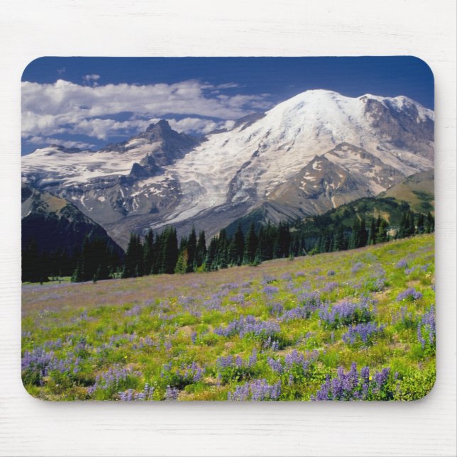 USA, Washington, Rainier National Park. Mousepad (Vorne)