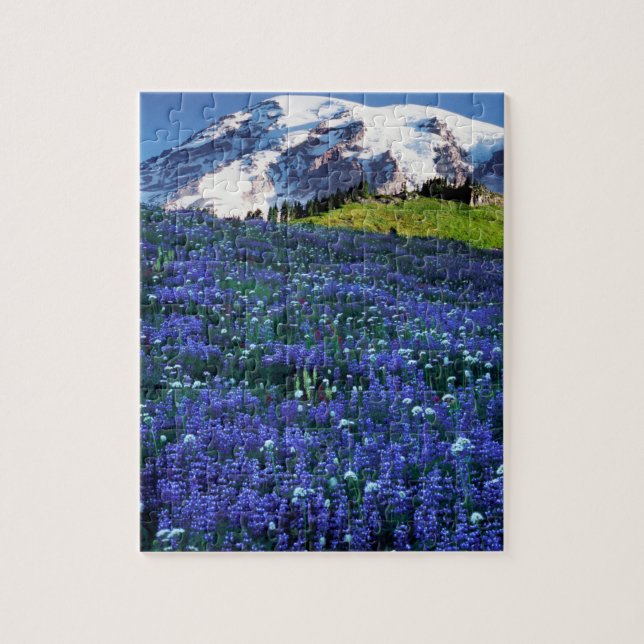 USA, Washington, Rainier National Park. Mt. (Vertikal)